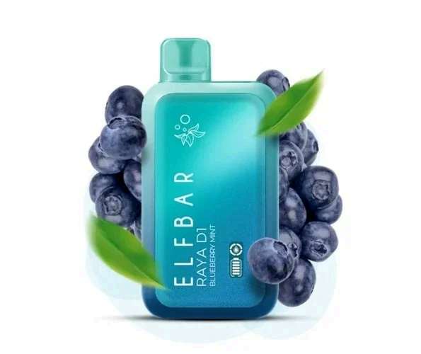 ELF BAR RAYA D1 – Blueberry Mint – Vape Shop Mumbai