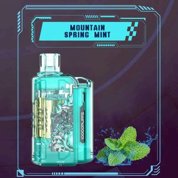 IGET Flare B10000 – Mountain Spring Mint – Vape Shop Mumbai